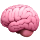 Brain Emoji